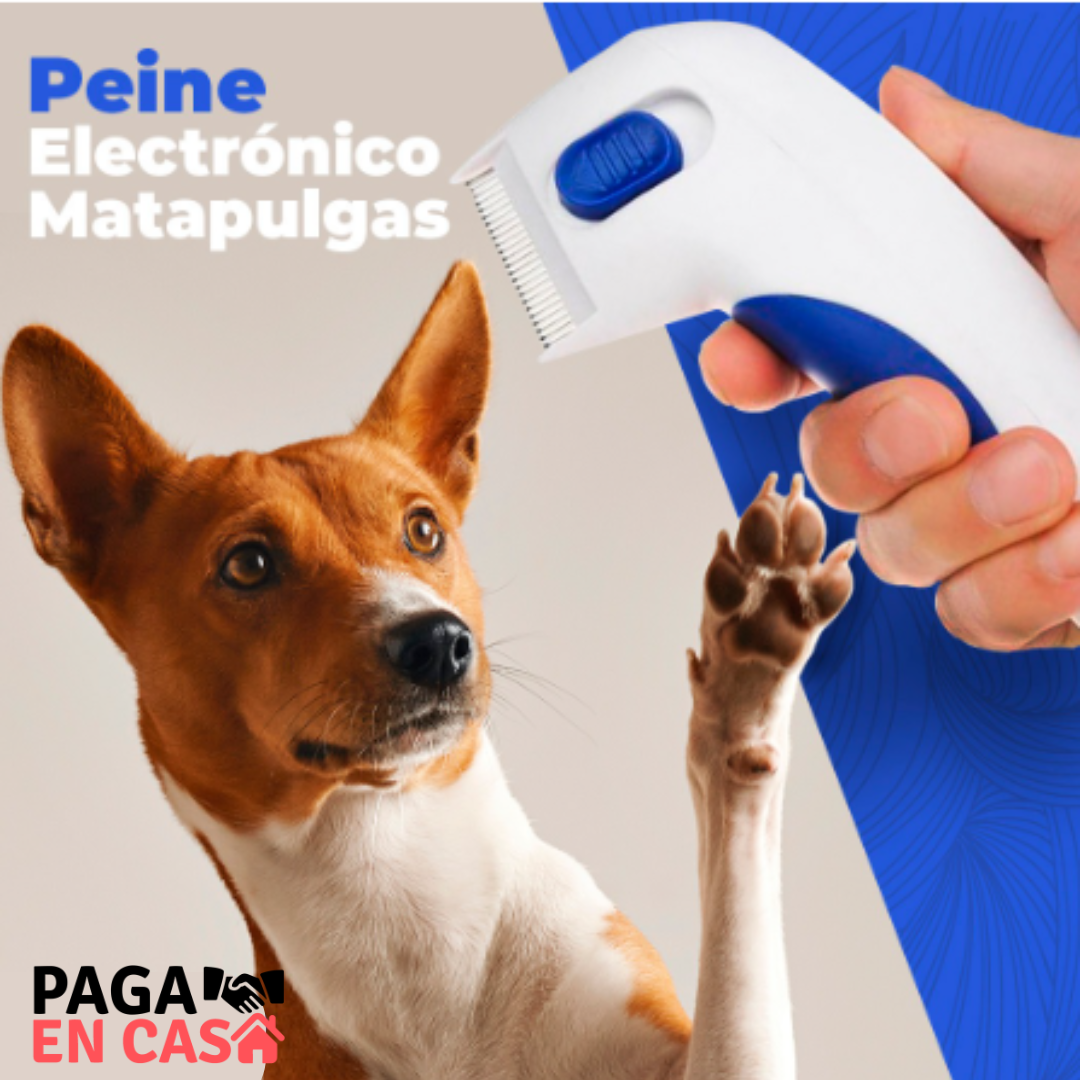 CEPILLO ELECTRICO ELIMINADOR DE PULGAS Y GARRAPATAS. 🚫