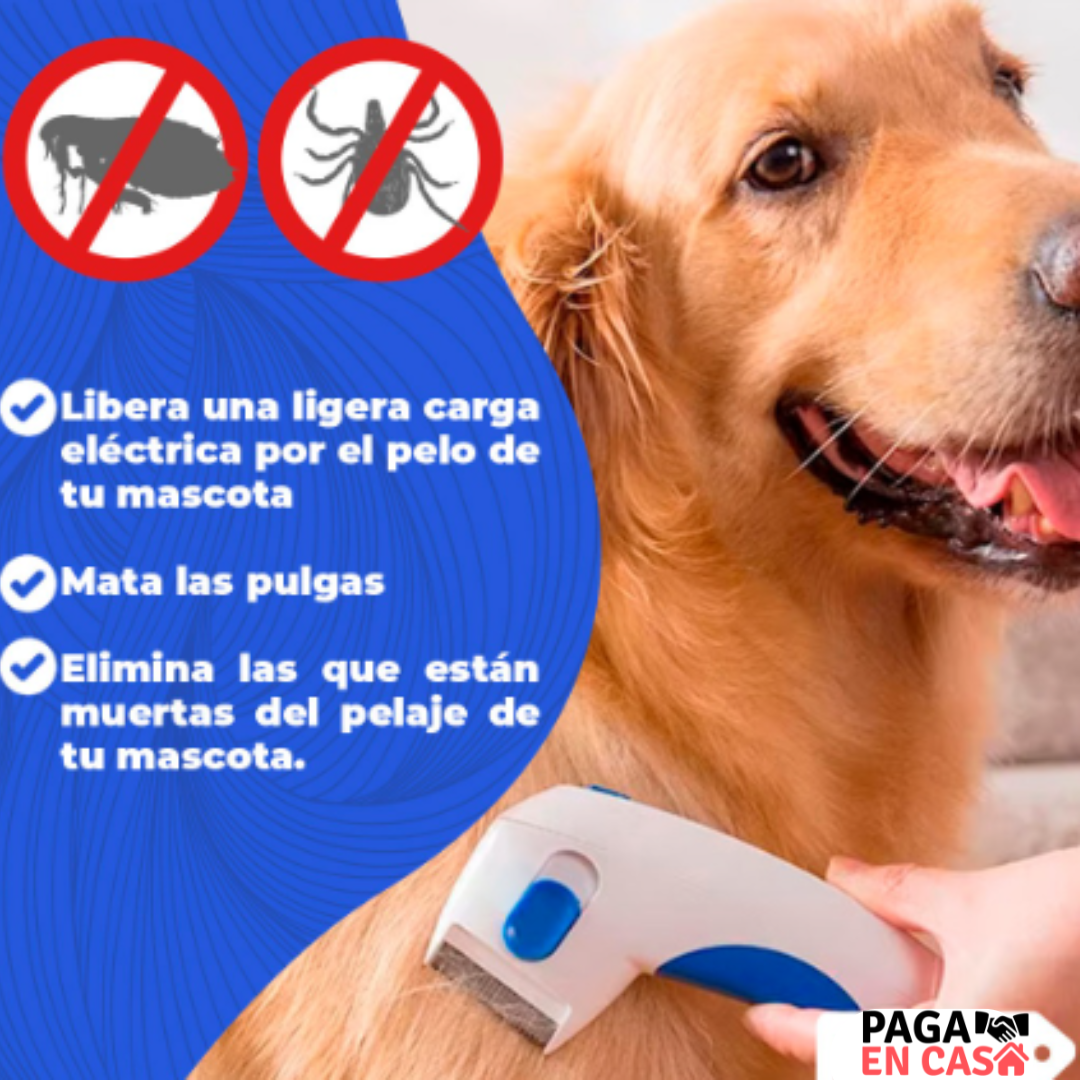 CEPILLO ELECTRICO ELIMINADOR DE PULGAS Y GARRAPATAS. 🚫